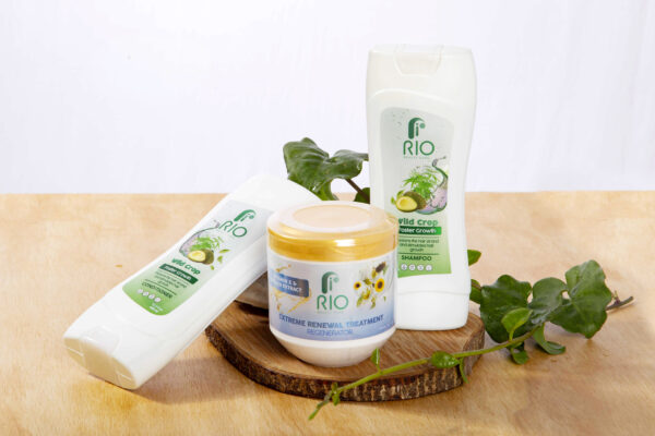 🌿✨ Kit "Renacer Silvestre" - Image 3
